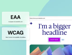 Ally Website Accessibility